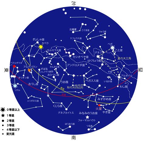 11月23日星座|11月23日生日書（射手座）